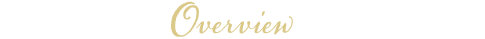 overview